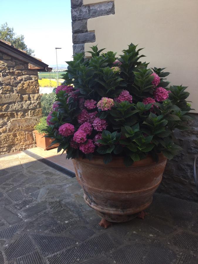 Agriturismo Borgo Tra Gli Olivi คาสติญโญน ฟิโอเรนทิโน ภายนอก รูปภาพ