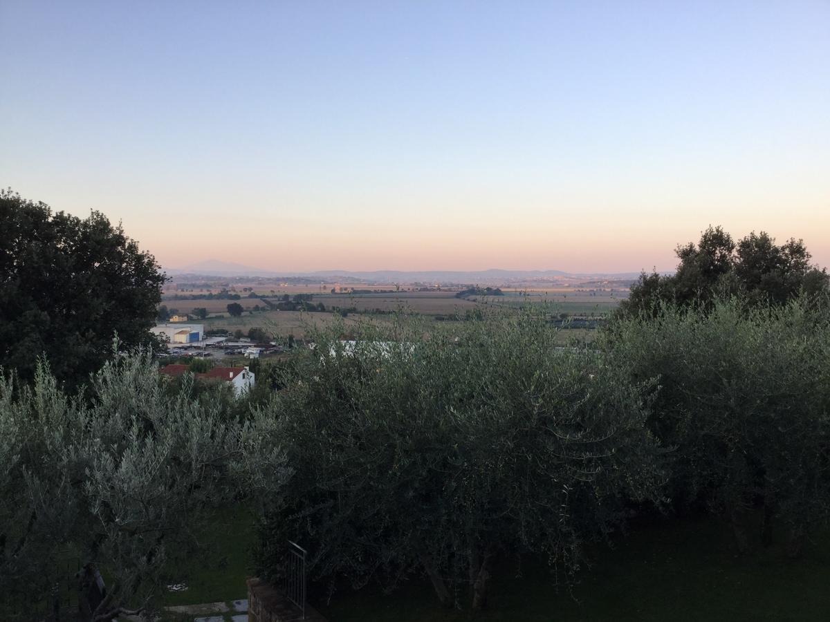 Agriturismo Borgo Tra Gli Olivi คาสติญโญน ฟิโอเรนทิโน ภายนอก รูปภาพ